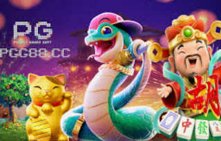 78m.ppt威久国际免费版最新版